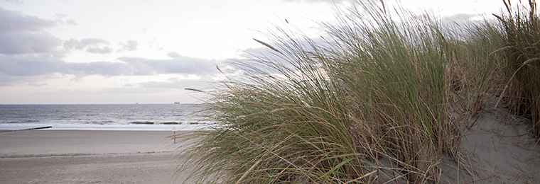 Südstrand