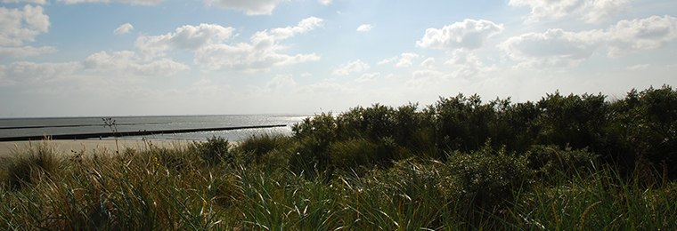 Südstrand